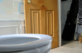 peppermikey:  krispykremecalum:  knowing you will never date your fav band member   why does this gif even exist