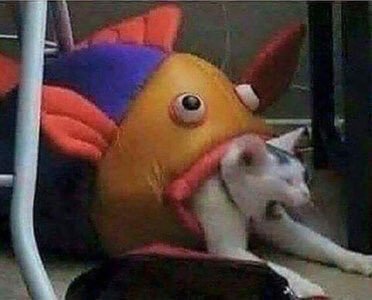 fakehistory:Mutant Cat-Fish one year after the Chernobyl fall out (26 April 1987)