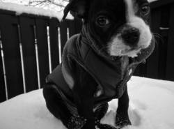 cute-overload:  It gets cold in Northern