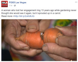 justinpie: perforated-smile: A 1 carrot ring  Blocked  