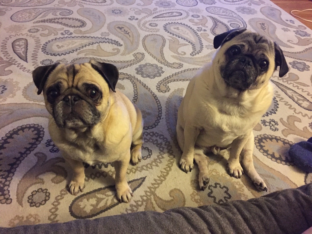 teahupooandgimli:  Two beggars