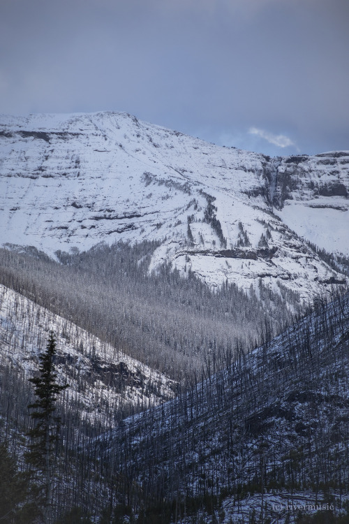 riverwindphotography:  Autumn looks like Winter on Sylvan Pass, northeastern Yellowstone