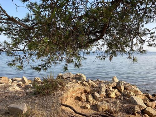 Promenade avec Isyyyyyenh ! #Summer2021 ☀️ #LaLondeLesMaures #CoteDAzur #Méditerranée #Var #PACA #F