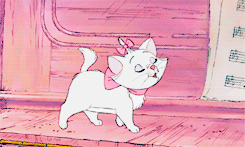 lady-arryn: Everybody wants to be a cat. Because a cat’s the only cat who knows