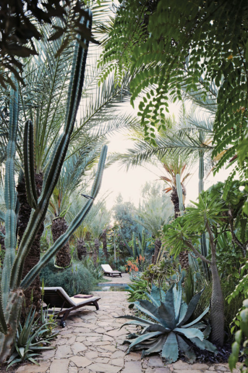 gardenriver:  in Morocco photo by Simon Watson, New York Times on blog: From the Right Bank