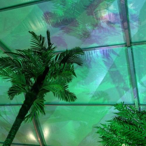 aestheticvaporwave: Follow us for more aesthetic and vaporwave stuff.