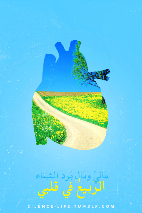 صمت الحياة