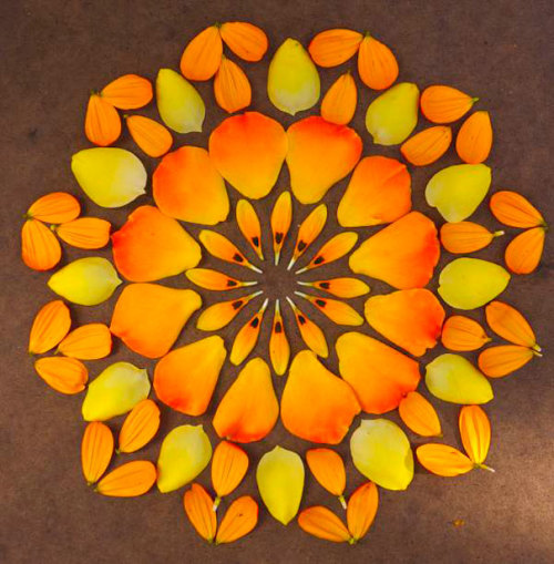 gaksdesigns:  Flower Mandalas by Arizona-based artist Kathy Klein. More here