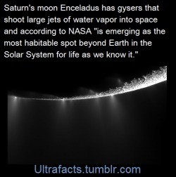 ultrafacts:  Source    Follow Ultrafacts