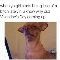 😂😂 even though dont have a valentine