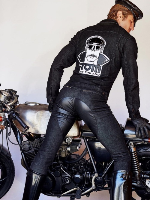 Jim-Holden:  David Miller By Gabriel @Hollywood_Bruisers 