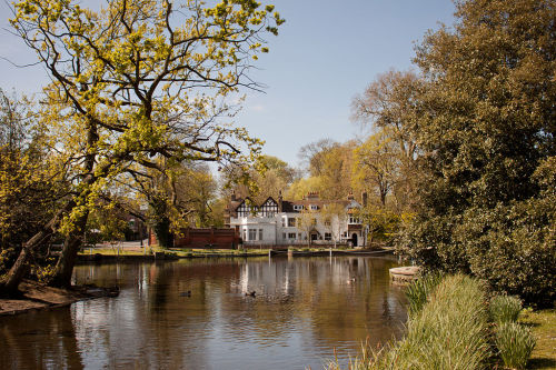 Western Pond, Carshalton Village, London Borough of Sutton