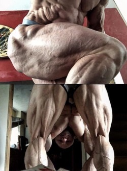 musclengear:    ID?