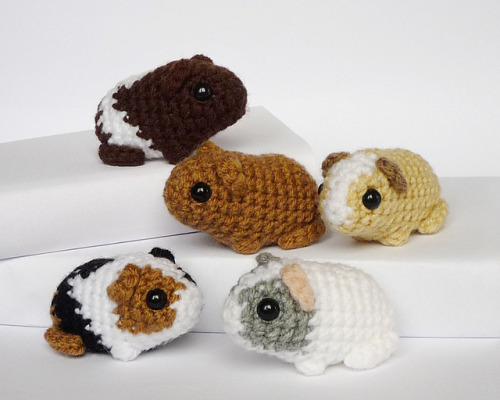 motleymakery:  DIY Amigurumi Guinea Pigs: Free Crochet Pattern,  By Kati Galusz, on Ravelry.