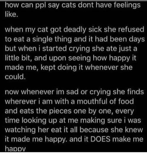 blessedimagesblog:Cat eating to make her human happy.