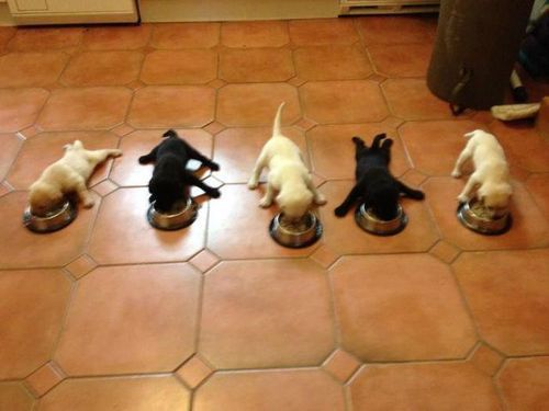 iliveforaliving:  omgomgomg
