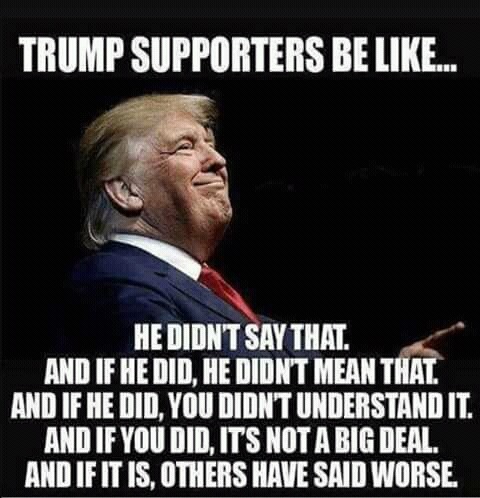 eaudrey35: liberalsarecool:   Obama had to be perfect. Trump can be human landfill.