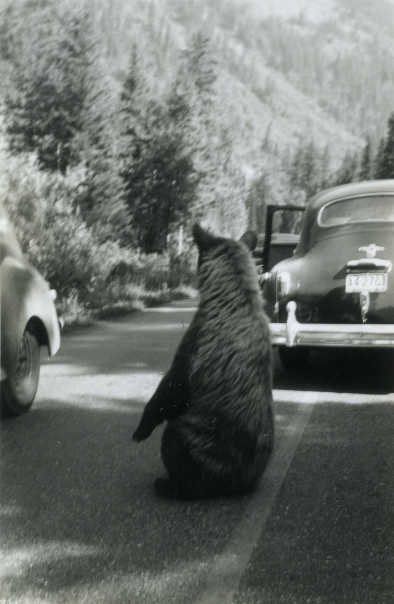 twoseparatecoursesmeet:  Sitting in the Road, 1940s 
