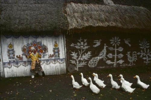 hyperb0rean:Zalipie, the “painted village” near Ternow, Poland - 1976. The houses are completely pai