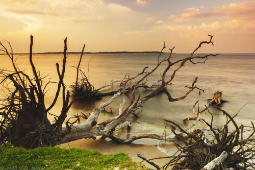 capturedphotos:  A Higher Point of view of Big Talbot Island Photographed by: Paolo Nacpil