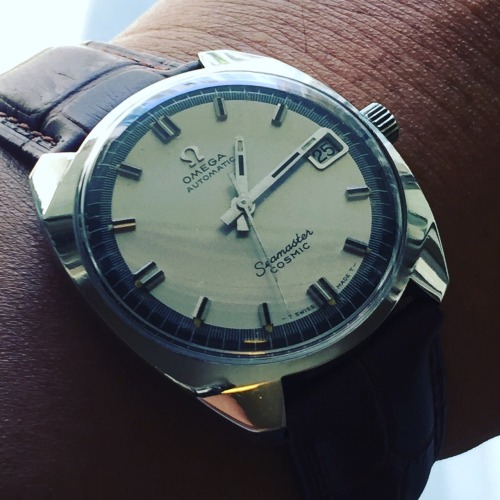 kenwong918: Omega Seamaster cosmic