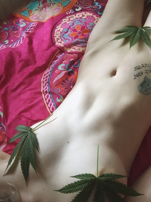 I Love These Bed Covers ☺️