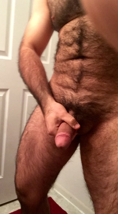 Hollandbear