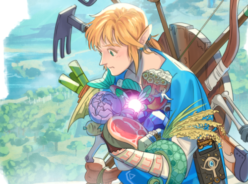 kaixju:  Link - Breath of the Wild Legendary Hero (Look at all that dubious food!)