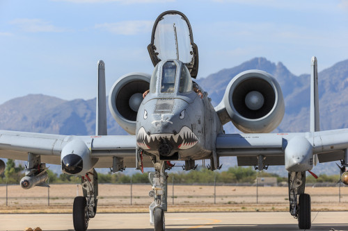 rocketumbl:A-10CStanding by to provide BRRRRRRRTT! support if needed.