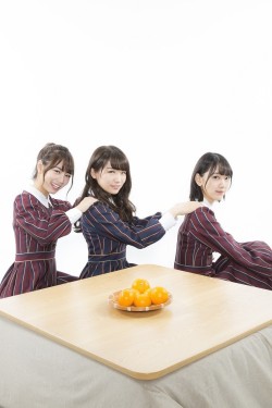 omiansary:  Nogi-chanshttp://news.walkerplus.com/article/96891/