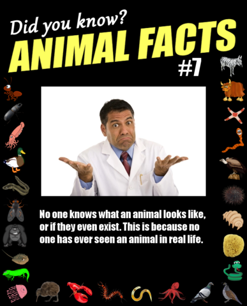 animal facts