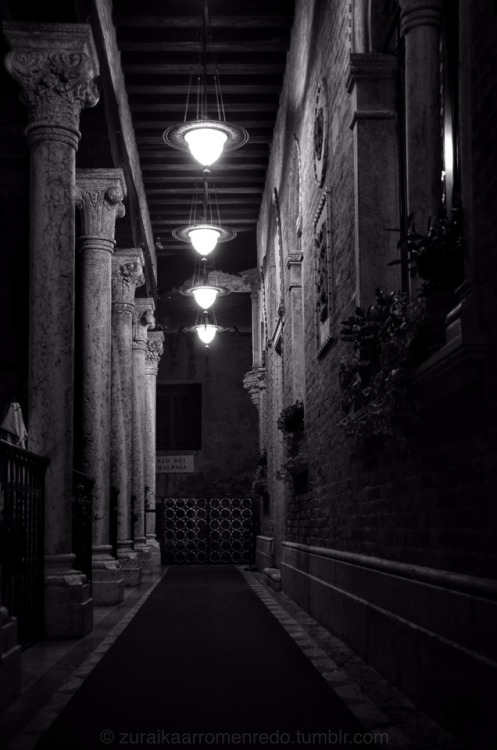 Hotel entrance, Venice. © Zuraika Arromen Redo, 2016.