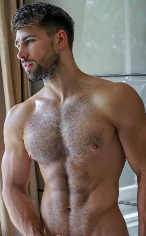 HAIRY INC. | https://hairyinc.tumblr.com | @hairyinc | Twitter | https://twitter.com/hairyinc 