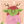 jv:susiron:openworldadventurer:girlpog:I’m playing a relatively new game and it’s