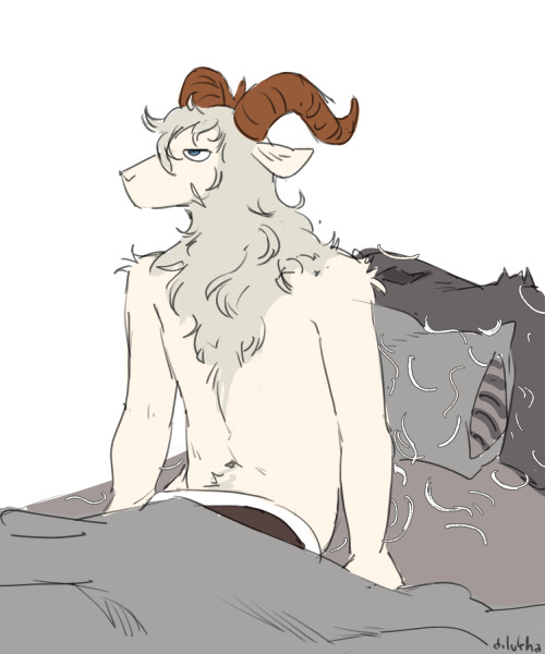Wool