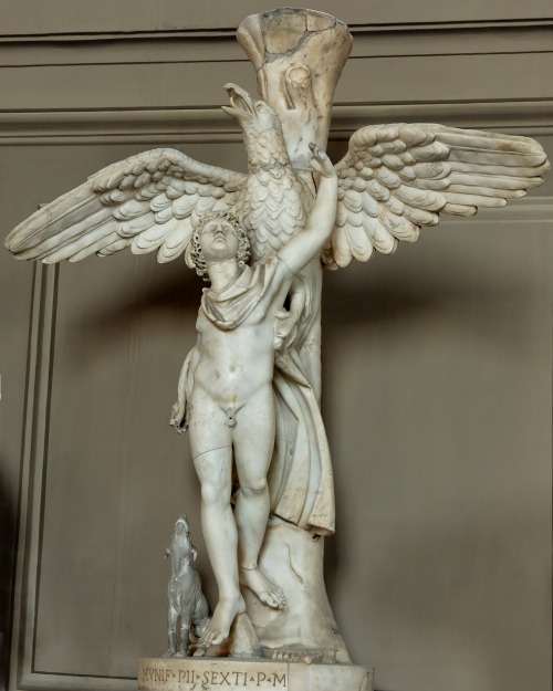 givemesomesoma: Leochares Ganymede Vatican