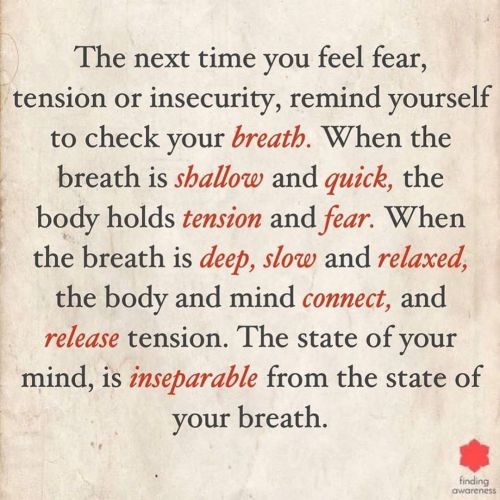 The next time you feel fear, tension or insecurity, remind yourself to check your breath. When the b