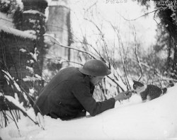 history-inpictures:A British soldier shaking hands with a kitten in the snow, 1917 