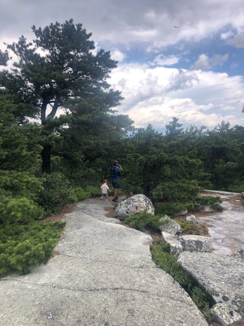 Minnewaska State Park has sooooo many trails! Hiked up to Gertrude’s Nose with Toddler and Hub