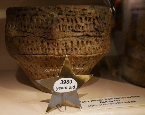 Prehistoric pottery, The Museum of East Riding, 2.6.17. Items include both funerary urns and food ve