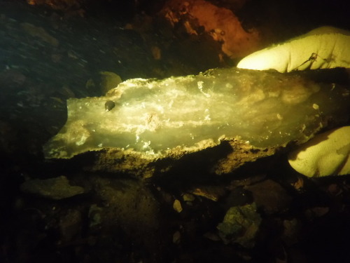 Sampling underwater chert quarries in northwest Florida. A few weeks of working in the Wacissa, Auci