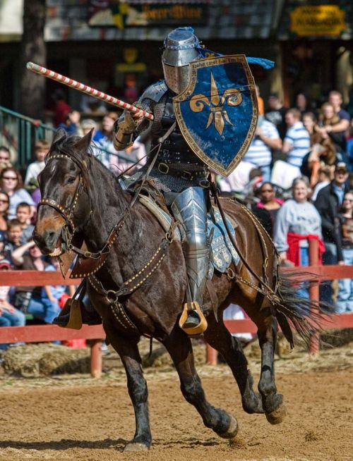 Renaissance faire fuck