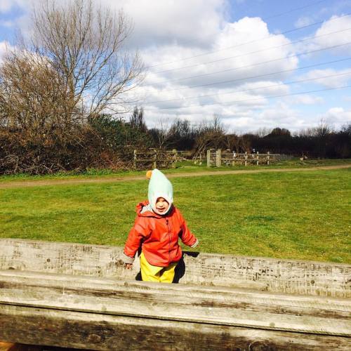 ☀️☀️☀️ ☘ #forestkidshackney #waterworksnaturereserve #hackneymarshes #thekidsareoutside #natureplay 