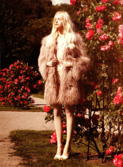 abigaildonaldson:  Ginta Lapina in “Pictures from Paradise” by Jimmy Backius for Tush #4 2008 