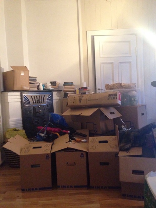 Well, we&rsquo;re pretty much done moving now. These aren&rsquo;t even all the boxes, I&