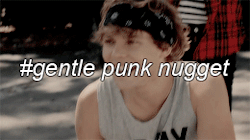 caerfuldaughter: 5 seconds of summer according