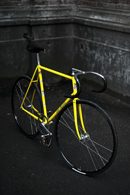 davewellbeloved:Class(via Sakharov Andrey’s Eddy Merckx Track - PEDAL Consumption)