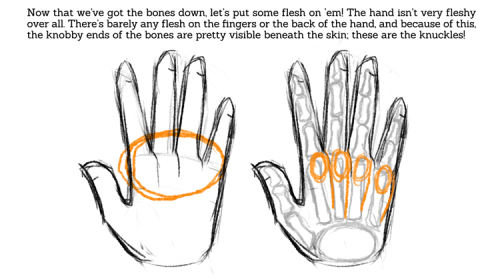 sarahculture: Tips on Drawing Hands Tutorial Hope this is helpful! Twitter DeviantArt 