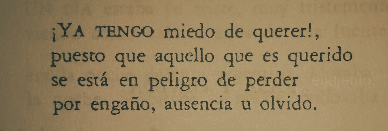 el-jujeniodeletras:Rubén Darío. Canción de otoño a la entrada del invierno. Selección
