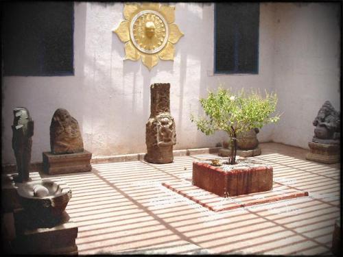 Tulasi at house courtyard, South India